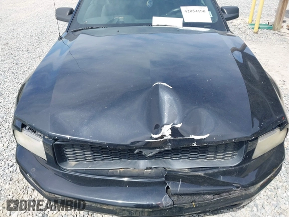 2007 Ford Mustang Deluxe with VIN 1ZVFT80N875226941, listed as a IAAI auction lot 42054190 with 183,155 mi miles. Bid and sale history available at carsss.com. Image 10.