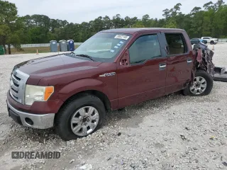 2009 Ford F-150 XL with VIN 1FTRW12849FA64308, listed as a Copart auction lot 50622195 with 177,088 mi miles and Non Repairable. Bid and sale history available at carsss.com. Image 1.