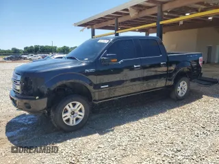 2013 Ford F-150 XL with VIN 1FTFW1ET9DFC04252, listed as a Copart auction lot 58076625 with 185,203 mi miles and Non repairable. Bid and sale history available at DreamBid. Image 1.