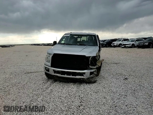 2017 Ford F-150 XL z VIN 1FTEW1EP6HKD09021, wystawiony jako Copart lot #60102915 z przebiegiem 176 817 mil mil oraz Szkoda całkowita • Salvage title. Historia ofert i sprzedaży dostępna na DreamBid. Obrazek 13.