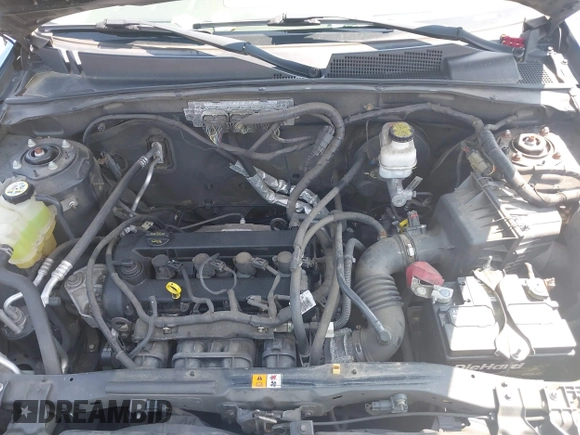 2011 Ford Escape XLT with VIN 1FMCU9D70BKA12908, listed as a IAAI auction lot 42425419 with 286,179 mi miles and . Bid and sale history available at DreamBid. Image 10.