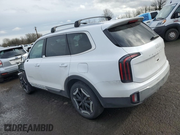2024 Kia Telluride EX with VIN 5XYP3DGC2RG451676, listed as a Copart auction lot 46161785 with 19,793 mi miles and Salvage Title. Bid and sale history available at carsss.com. Image 2.