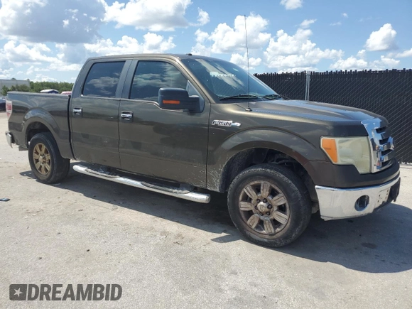 2009 Ford F-150 XL with VIN 1FTRW12889FB01747, listed as a Copart auction lot 62402315 with 332,253 mi miles and Clean title. Bid and sale history available at DreamBid. Image 4.