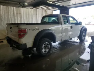 2009 Ford F-150 STX with VIN 1FTRX14W89FB30559, listed as a Copart auction lot 59613875 with 113,592 mi miles and Clean title. Bid and sale history available at DreamBid. Image 3.