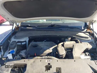 2019 Hyundai Santa Fe SE with VIN 5NMS2CAD4KH109117, listed as a IAAI auction lot 41591901 with 133,338 mi miles. Bid and sale history available at carsss.com. Image 10.