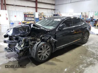 2015 Kia Cadenza Premium with VIN KNALN4D77F5177179, listed as a Copart auction lot 45297215 with 170,043 mi miles and Salvage Title. Bid and sale history available at carsss.com. Image 1.