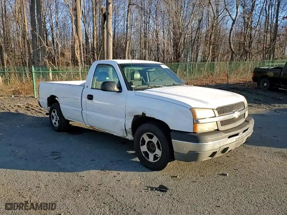 2004 Chevrolet Silverado 1500 Work Truck with VIN 1GCEC14V54Z290794, listed as a Copart auction lot 84718114 with 194,326 mi miles and Salvage Title. Bid and sale history available at carsss.com. Image 11.