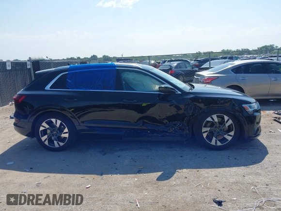2022 Audi e-tron Premium Plus with VIN WA1LABGE6NB022565, listed as a IAAI auction lot 42402533 with 25,075 mi miles and . Bid and sale history available at DreamBid. Image 14.