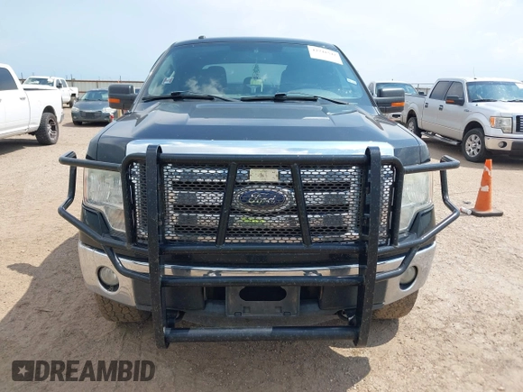 2011 Ford F-150 XL with VIN 1FTFW1EF8BFA04793, listed as a IAAI auction lot 42741542 with 259,843 mi miles and . Bid and sale history available at DreamBid. Image 6.
