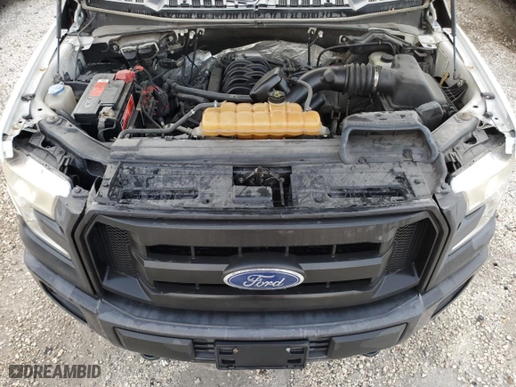 2017 Ford F-150 XL with VIN 1FTEW1EF1HKE26531, listed as a Copart auction lot 49039495 with 138,837 mi miles and Clean Title. Bid and sale history available at carsss.com. Image 11.