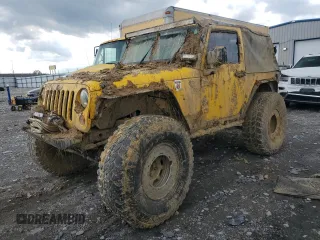 2009 Jeep Wrangler X with VIN 1J4FA24119L754391, listed as a Copart auction lot 56067805 with 118,117 mi miles and Salvage title. Bid and sale history available at DreamBid. Image 1.