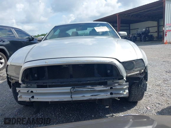2014 Ford Mustang V6 with VIN 1ZVBP8AM4E5265015, listed as a IAAI auction lot 42439824 with 185,639 mi miles and . Bid and sale history available at DreamBid. Image 13.