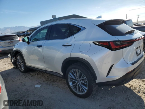 2025 Lexus NX 350 Luxury with VIN 2T2HGCEZ8SC060264, listed as a Copart auction lot 81298244 with 6,758 mi miles and Salvage title. Bid and sale history available at DreamBid. Image 2.
