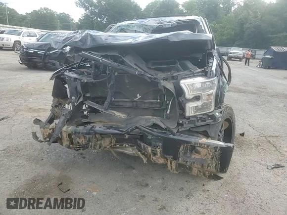 2016 Ford F-150 XLT with VIN 1FTEW1EP8GFD53528, listed as a Copart auction lot 59162755 with Not provided miles and Salvage title. Bid and sale history available at DreamBid. Image 13.