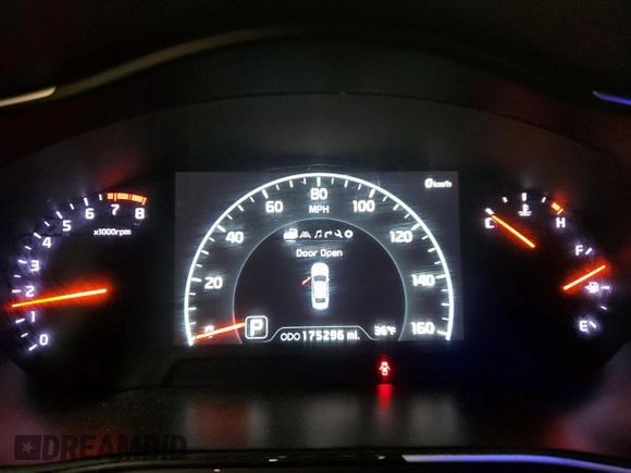 2014 Kia Cadenza Premium with VIN KNALN4D70E5124466, listed as a Copart auction lot 82614644 with 175,296 mi miles and Salvage Title. Bid and sale history available at carsss.com. Image 9.
