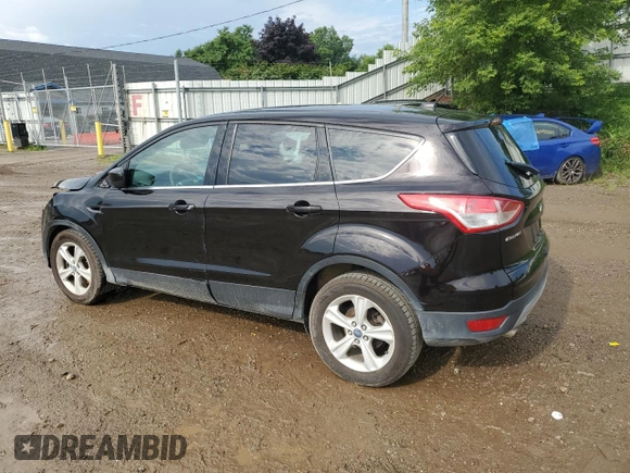 2013 Ford Escape SE with VIN 1FMCU9GX2DUB38657, listed as a Copart auction lot 63438765 with 124,142 mi miles and Clean title. Bid and sale history available at DreamBid. Image 2.