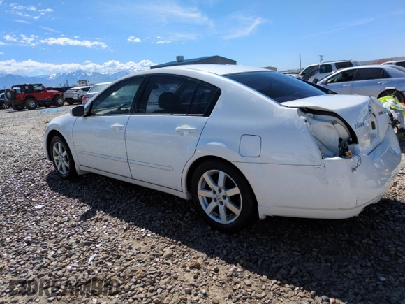 2004 Nissan Maxima SE with VIN 1N4BA41E24C883438, listed as a Copart auction lot 56175265 with 122,747 mi miles and Salvage title. Bid and sale history available at DreamBid. Image 2.