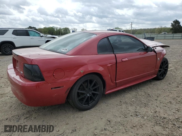 2004 Ford Mustang Standard with VIN 1FAFP40404F110233, listed as a Copart auction lot 51495425 with 0 mi miles and Salvage Title. Bid and sale history available at carsss.com. Image 3.