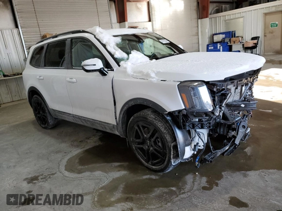 2024 Kia Telluride SX Prestige X-Line с VIN 5XYP5DGC3RG483384, выставлен на аукционе Copart как лот 41913045 с пробегом 13 462 миль миль и Списание • Salvage title. История ставок и продаж доступна на DreamBid. Изображение 4.