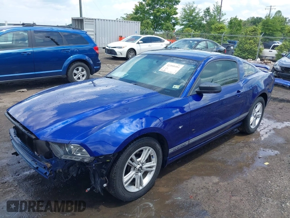 2013 Ford Mustang V6 with VIN 1ZVBP8AM4D5227735, listed as a IAAI auction lot 42395404 with 133,488 mi miles and . Bid and sale history available at DreamBid. Image 2.