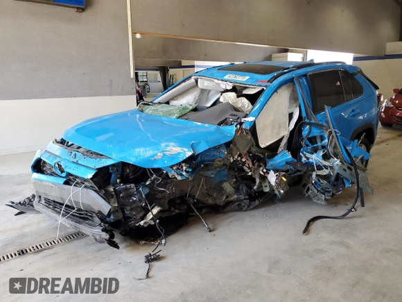 2019 Toyota RAV4 XLE with VIN 2T3P1RFV5KC009781, listed as a Copart auction lot 52262715 with Not Provided miles and Salvage Title. Bid and sale history available at DreamBid. Image 1.