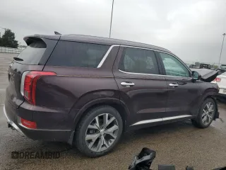 2020 Hyundai Palisade Limited with VIN KM8R5DHE0LU066511, listed as a Copart auction lot 58462025 with 97,295 mi miles and Salvage title. Bid and sale history available at DreamBid. Image 3.