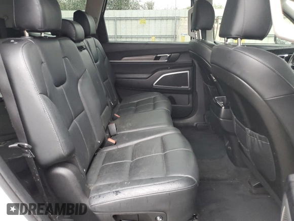 2020 Kia Telluride EX with VIN 5XYP3DHC2LG046777, listed as a Copart auction lot 57917025 with 66,494 mi miles and Salvage title. Bid and sale history available at DreamBid. Image 11.