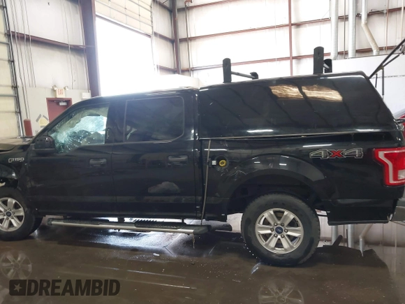 2016 Ford F-150 XLT with VIN 1FTEW1E8XGFC75827, listed as a IAAI auction lot 42393896 with Not provided miles and . Bid and sale history available at DreamBid. Image 14.