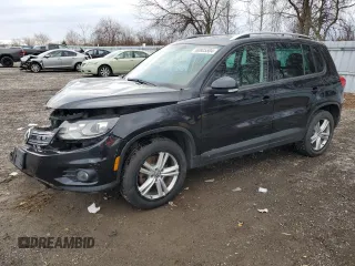 2013 Volkswagen Tiguan S with VIN WVGJV3AX3DW585738, listed as a Copart auction lot 80925504 with 262,569 mi miles and Salvage title. Bid and sale history available at DreamBid. Image 1.