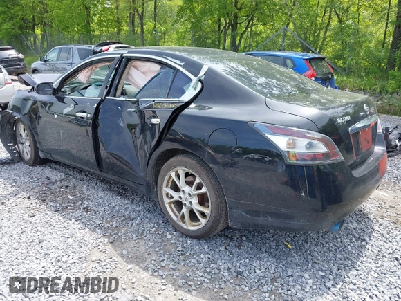 2013 Nissan Maxima SV with VIN 1N4AA5AP4DC801955, listed as a IAAI auction lot 42341827 with 180,982 mi miles and . Bid and sale history available at DreamBid. Image 3.