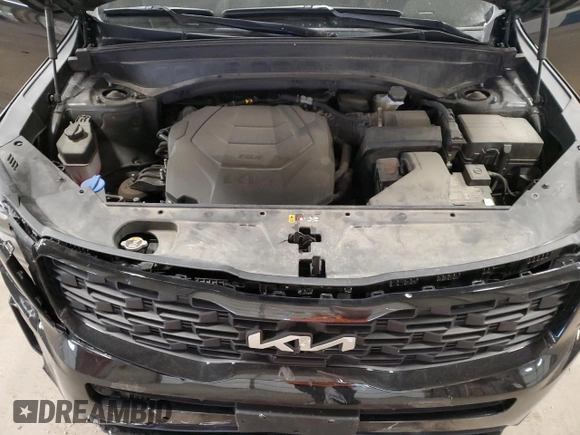 2022 Kia Telluride SX with VIN 5XYP5DHC1NG282155, listed as a Copart auction lot 53046715 with 43,921 mi miles and Salvage title. Bid and sale history available at DreamBid. Image 13.