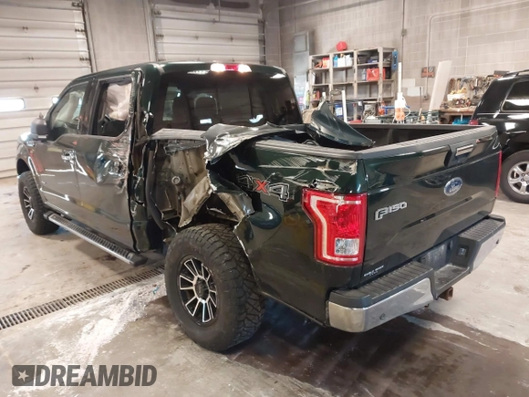 2015 Ford F-150 XLT with VIN 1FTEW1EP1FFB23876, listed as a IAAI auction lot 42049616 with 175,655 mi miles. Bid and sale history available at carsss.com. Image 3.
