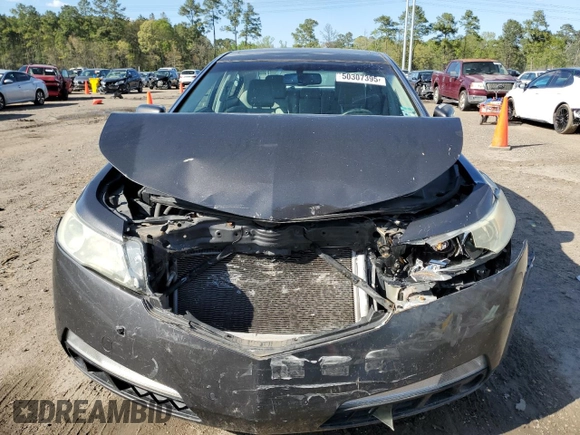 2009 Acura TL Tech with VIN 19UUA86589A001776, listed as a Copart auction lot 50307395 with 116,172 mi miles and Salvage Title. Bid and sale history available at carsss.com. Image 5.