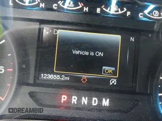 2018 Ford F-150 XL with VIN 1FTEW1CP9JKC79991, listed as a IAAI auction lot 41737265 with 123,655 mi miles and . Bid and sale history available at DreamBid. Image 15.