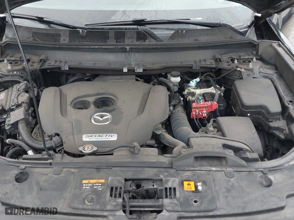 2019 Mazda CX-9 Touring with VIN JM3TCBCY3K0313068, listed as a IAAI auction lot 41881524 with 79,380 mi miles. Bid and sale history available at carsss.com. Image 10.