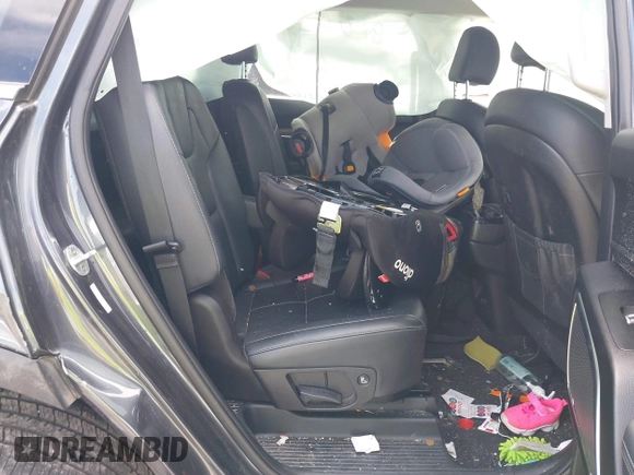 2020 Kia Telluride SX с VIN 5XYP54HC0LG052734, выставлен на аукционе IAAI как лот 42312087 с пробегом Не указан миль и . История ставок и продаж доступна на DreamBid. Изображение 8.