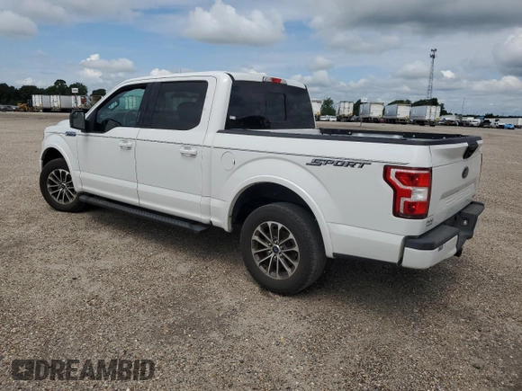 2019 Ford F-150 XL with VIN 1FTEW1CPXKFA75369, listed as a Copart auction lot 61735505 with 164,310 mi miles and Clean title. Bid and sale history available at DreamBid. Image 2.
