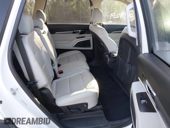 2020 Kia Telluride S with VIN 5XYP64HC6LG012137, listed as a IAAI auction lot 41920327 with 95,829 mi miles and . Bid and sale history available at DreamBid. Image 8.