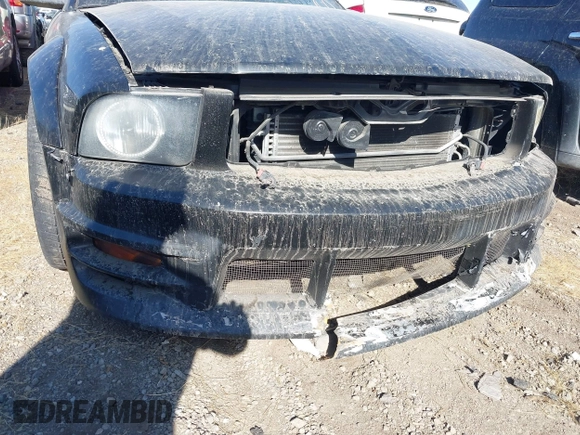 2006 Ford Mustang GT Deluxe with VIN 1ZVFT82H065257638, listed as a IAAI auction lot 40384311 with Not provided miles and . Bid and sale history available at DreamBid. Image 18.