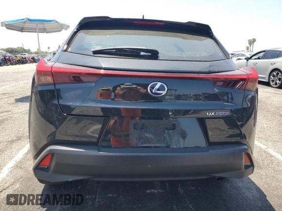 2020 Lexus UX 250h with VIN JTHX9JBH2L2034610, listed as a Copart auction lot 62195585 with 24,992 mi miles and Salvage title. Bid and sale history available at DreamBid. Image 6.