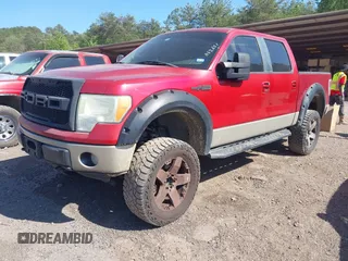 2009 Ford F-150 XL with VIN 1FTPW14V99FA62631, listed as a IAAI auction lot 42027309 with 211,433 mi miles and . Bid and sale history available at DreamBid. Image 17.