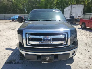2013 Ford F-150 XL with VIN 1FTMF1CM1DFD63978, listed as a Copart auction lot 52976295 with 173,007 mi miles and Salvage title. Bid and sale history available at DreamBid. Image 5.
