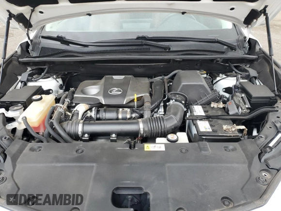 2019 Lexus NX 300 with VIN JTJBARBZ7K2184749, listed as a Copart auction lot 61654225 with 66,571 mi miles and Salvage title. Bid and sale history available at DreamBid. Image 12.