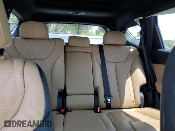 2023 Hyundai Santa Fe Calligraphy with VIN 5NMS5DALXPH508982, listed as a Copart auction lot 59233405 with 25,193 mi miles and Salvage title. Bid and sale history available at DreamBid. Image 10.