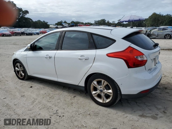 2014 Ford Focus SE with VIN 1FADP3K25EL224700, listed as a Copart auction lot 81809534 with 114,136 mi miles and Clean Title. Bid and sale history available at carsss.com. Image 2.