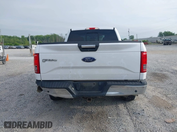 2015 Ford F-150 XL with VIN 1FTEX1CP0FKD86433, listed as a IAAI auction lot 42480895 with 159,963 mi miles and . Bid and sale history available at DreamBid. Image 16.