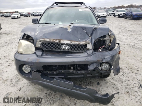 2003 Hyundai Santa Fe GLS with VIN KM8SC13D23U514882, listed as a Copart auction lot 76653463 with 126,223 mi miles and Salvage Title. Bid and sale history available at carsss.com. Image 5.