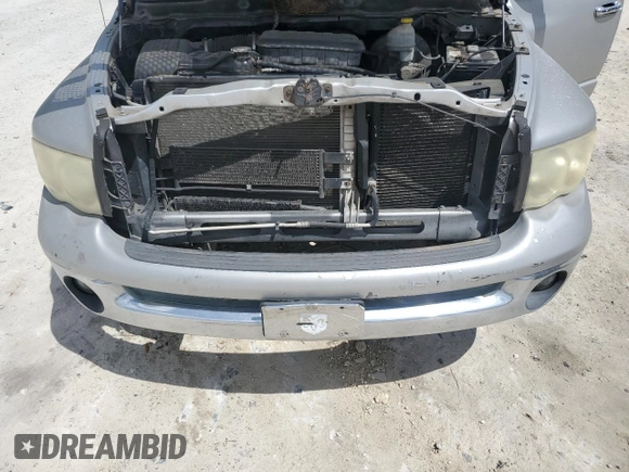 2003 Dodge 1500 ST z VIN 1D7HA18N13J505524, wystawiony jako Copart lot #52288235 z przebiegiem 307 651 mil mil oraz Szkoda całkowita • Salvage title. Historia ofert i sprzedaży dostępna na DreamBid. Obrazek 12.