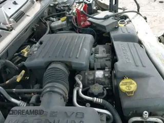 2001 Dodge Dakota Sport z VIN 1B7GL2ANX1S192531, wystawiony jako IAAI lot #42986635 z przebiegiem 259 173 mil mil oraz . Historia ofert i sprzedaży dostępna na DreamBid. Obrazek 19.