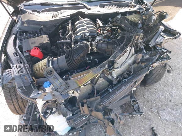 2024 Ford Mustang GT with VIN 1FA6P8CF7R5412314, listed as a IAAI auction lot 42270219 with Not provided miles and . Bid and sale history available at DreamBid. Image 10.